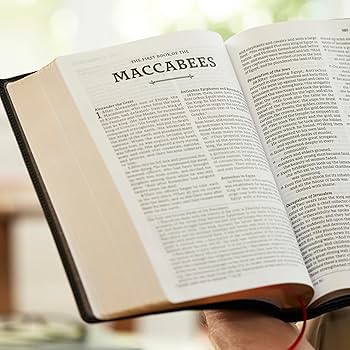 ルビブル様 RSV2CE, Thinline Large Print Catholic Bible, Black